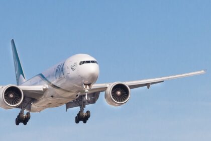 pia