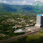 Development Working Party