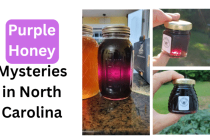 Purple Honey Mysteries