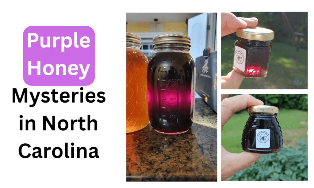 Purple Honey Mysteries