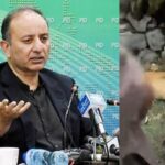 deer killing margalla hills