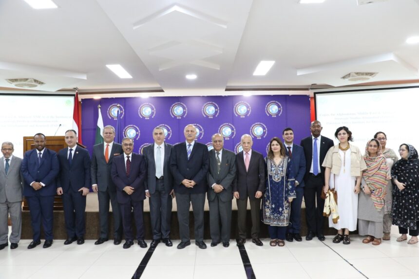 egypt revolution day issi