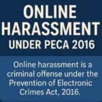journalist pega cybercrime case