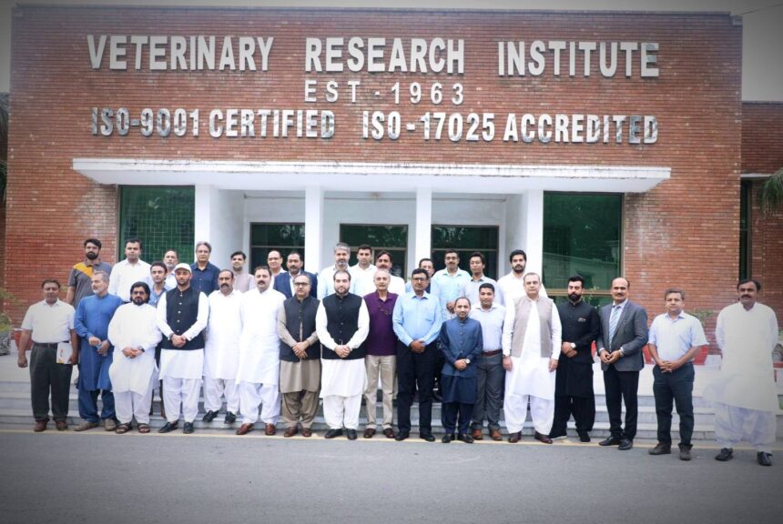 Preserving Local Horse Breeds in Punjab for Global Recognition 1 local horse breed conservation