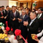 pakistan mango festival kl