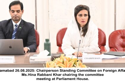 foreign affairs committee meeting