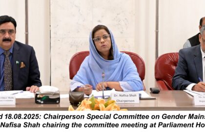 gender mainstreaming honor killings