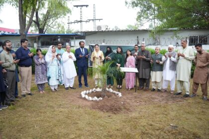 ibcc pakistan independence 2025