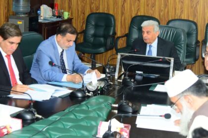 pakistan wheat availability update