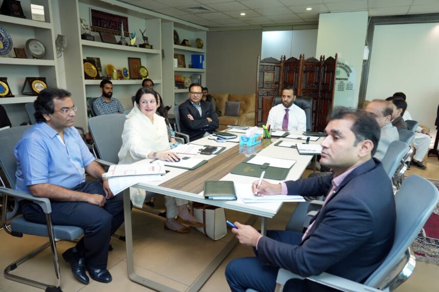 Federal Minister Chairs Dengue Islamabad Response Meeting 1 dengue islamabad - Federal Minister Chairs Dengue Islamabad Response Meeting