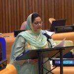 Senator Rehman Champions AI Governance 2 ai governance - Senator Rehman Champions AI Governance