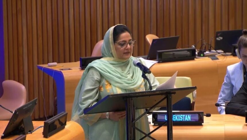 Senator Rehman Champions AI Governance 1 ai governance - Senator Rehman Champions AI Governance