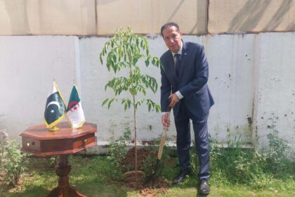 algeria embassy pakistan green