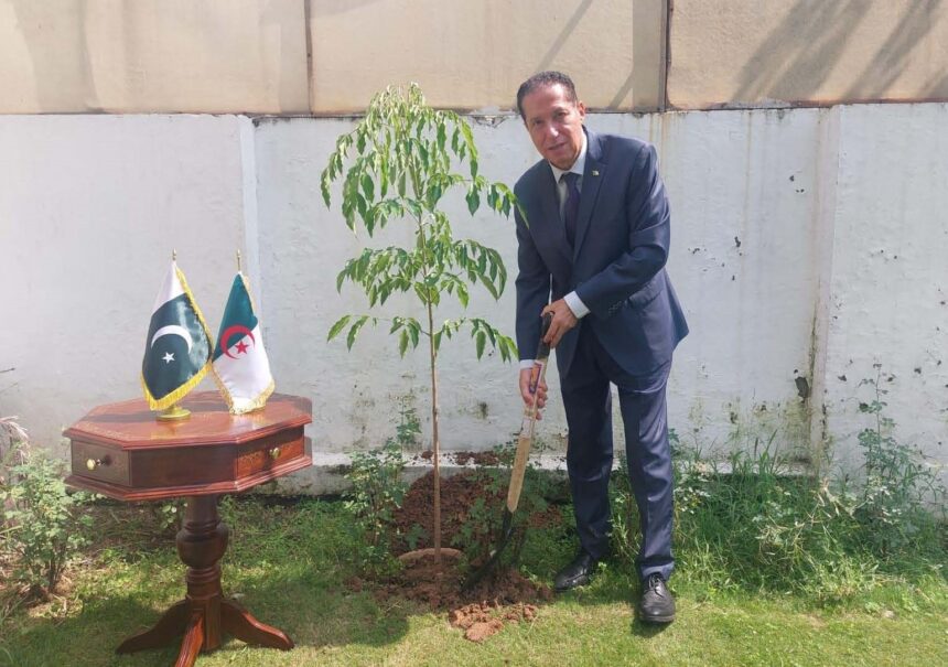 algeria embassy pakistan green