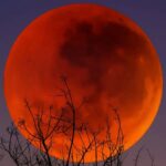 Blood Moon