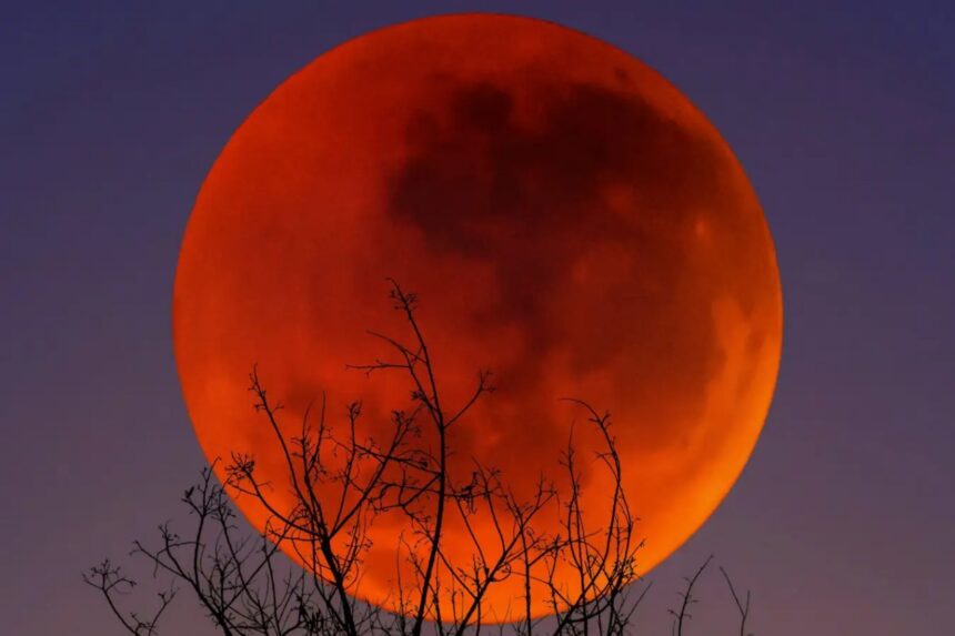 Blood Moon