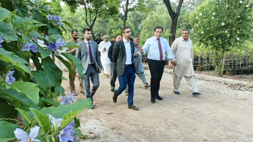 CDA Model Nursery set to become Gardenia Hub in Islamabad 1 cda model nursery gardenia hub