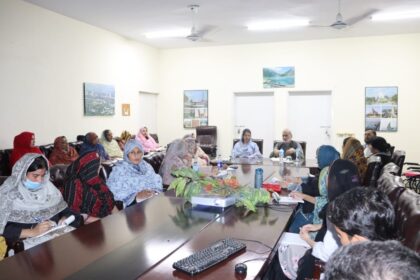 DGSE Workshop Supporting Children with Cerebral Palsy 11 cerebral palsy training dgse