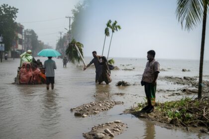 climate change health south asia