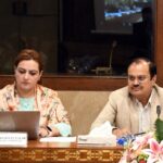 health care reform committee