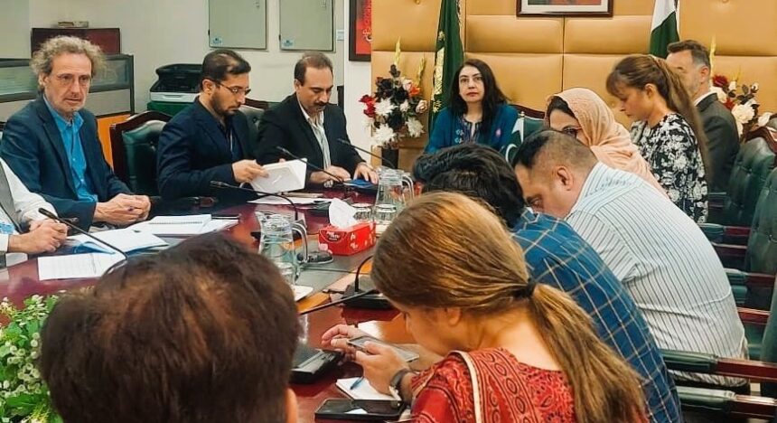 health sector flood response