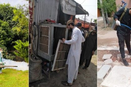 islamabad dengue update