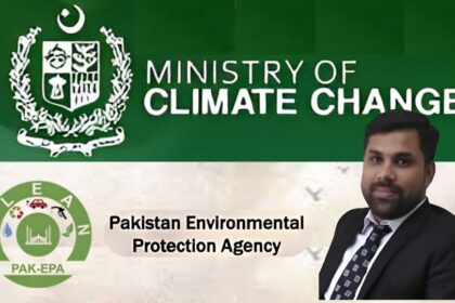 muhammad ramzan deputy director