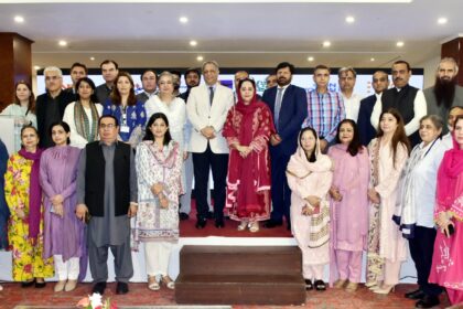 national gender parity framework 1
