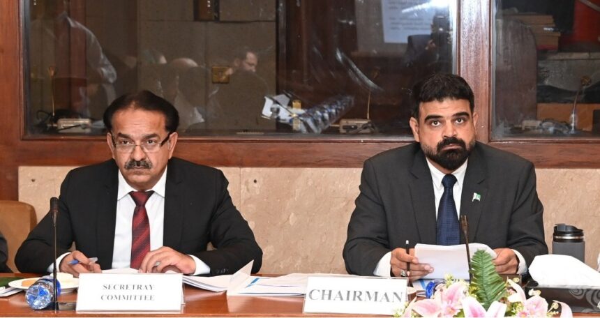 pakistan flood damage report