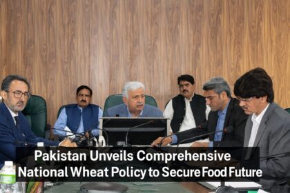 pakistan wheat policy