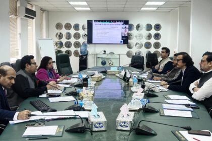 smeda board ceo appointment