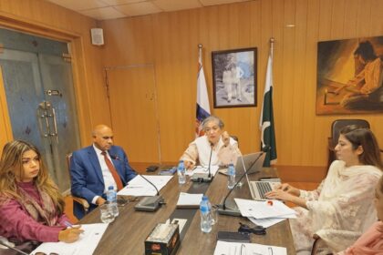 gender data - NCSW Builds Gender Data Bridge