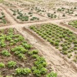 COP30 Demands New Adaptation Finance Commitments 3 adaptation finance - COP30 Demands New Adaptation Finance Commitments