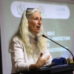 Pakistan’s Media Urged to Champion Breastfeeding as a National Health and Equality Priority 2 breastfeeding - Media Must Champion Breastfeeding in Pakistan