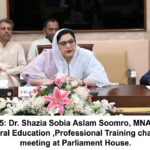 Education Committee Flags Administrative Irregularities 3 education committee - Education Committee Flags Administrative Irregularities