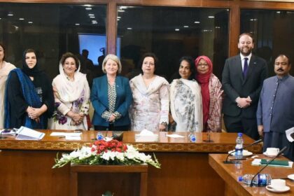 pakistan ireland - Pakistan Ireland Parliamentary Group Meets Irish Ambassador