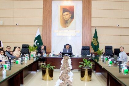 unsdcf punjab - Provincial Steering Committee Reviews UNSDCF Punjab