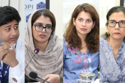 SDPI Proposes Solar Subsidy Reform Through Rooftop Integration 11 solar subsidy - SDPI Proposes Solar Subsidy Reform Through Rooftop Integration