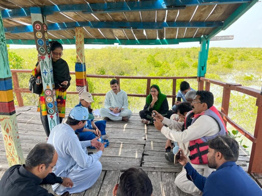 Journalists Study Carbon Markets and Mangroves 1 carbon markets - Journalists Study Carbon Markets and Mangroves