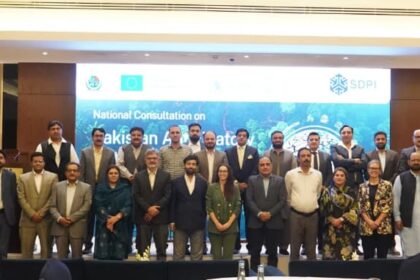 Pakistan Advances Anticipatory Action Strategy 7 anticipatory action - Pakistan Advances Anticipatory Action Strategy