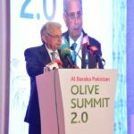Olive Sector Poised to Boost Pakistan Economy 2 olive sector - Olive Sector Poised to Boost Pakistan Economy