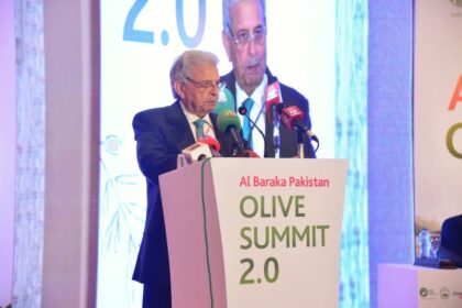 Olive Sector Poised to Boost Pakistan Economy 4 olive sector - Olive Sector Poised to Boost Pakistan Economy