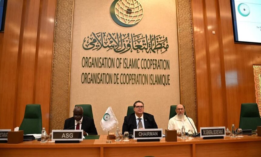 oic typoa - OIC Experts Begin Meeting to Draft New TYPOA
