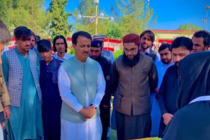 olive value chain - Olive Value Chain Boosted at Zhob Agri Mela