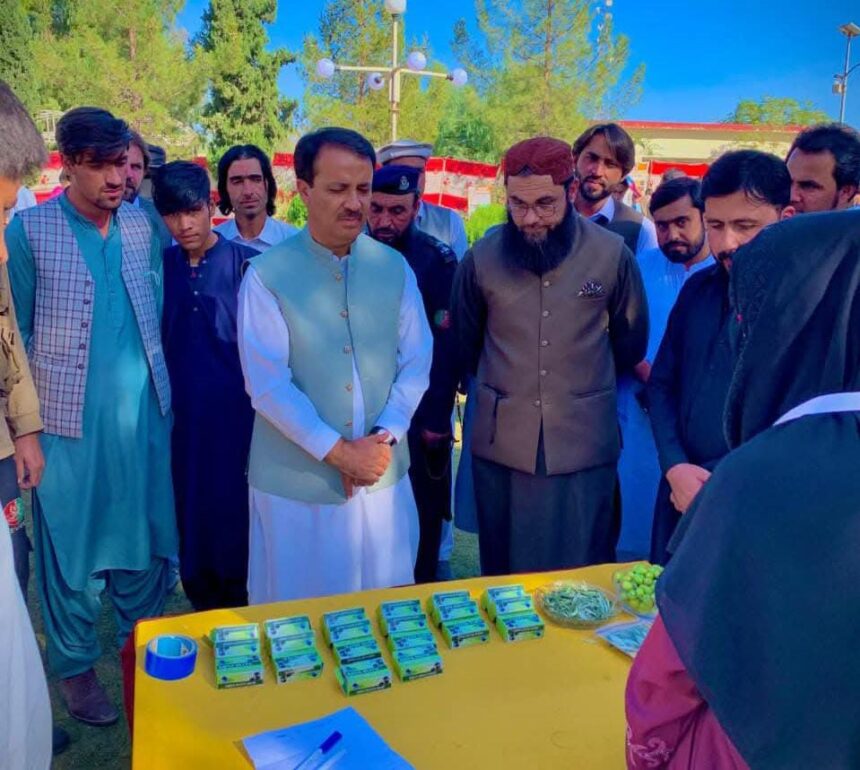 olive value chain - Olive Value Chain Boosted at Zhob Agri Mela