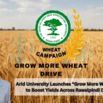 grow more wheat - Arid University Launches Grow More Wheat Campaign