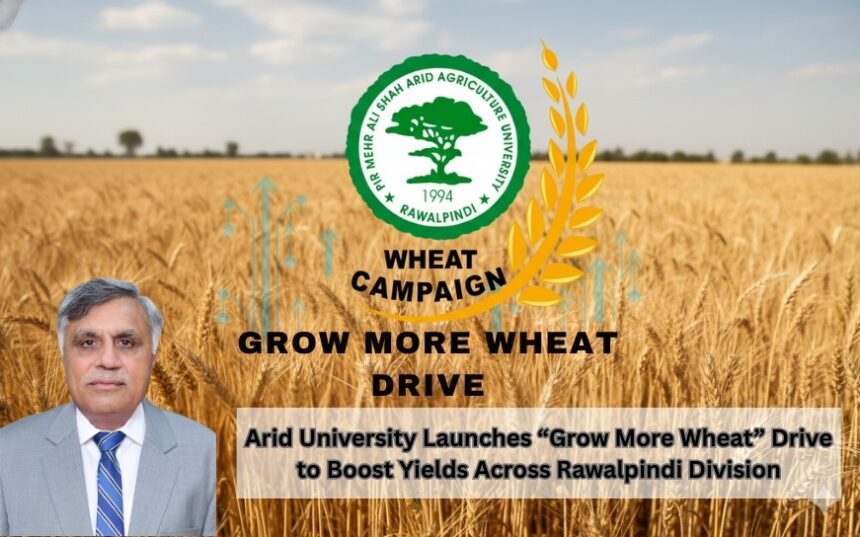 grow more wheat - Arid University Launches Grow More Wheat Campaign