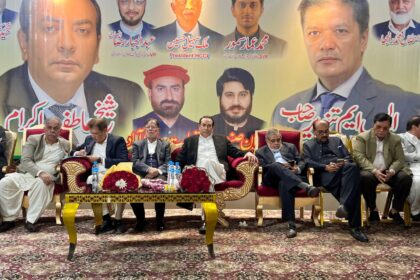 constitutional amendments - Business Backs Constitutional Amendments for Stability