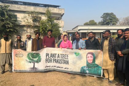 tree plantation - Horticulture Agency Leads Tree Plantation at School