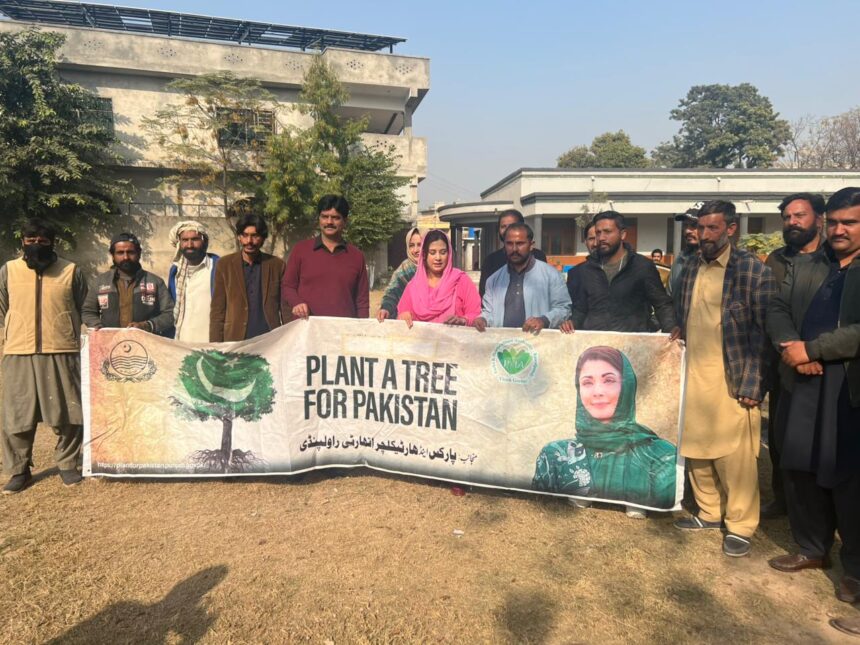 tree plantation - Horticulture Agency Leads Tree Plantation at School